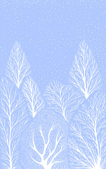 Fototapeta na wymiar Winter landscape with white tree trunks, falling snow on a light blue sky background.