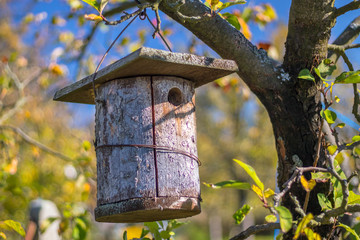 Birdhouse (Bird nest box), hanging on a tree in an apple orchard