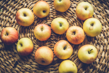 Yellow autumn apples on a straw background. Autumn Harvest Concept