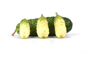 Ordinary cucumber and several small ones isolated on a white background.