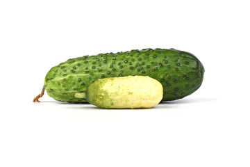 Ripe common cucumber and little isolated on a white background.