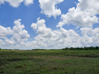 Fototapeta na wymiar The sky and white clouds and grasslands
