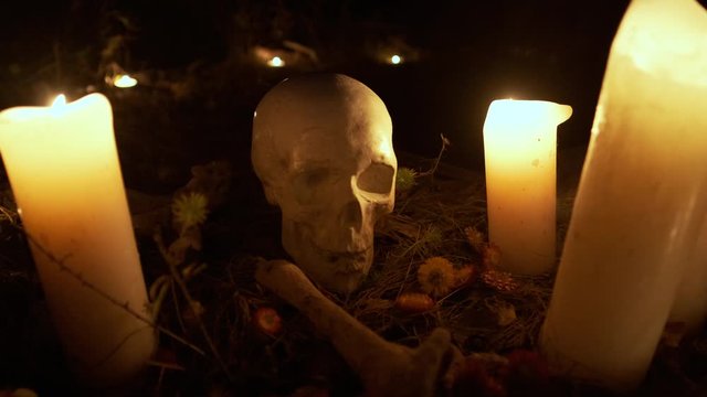 Skull With Candles. Halloween Image.