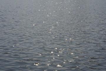 chaotic waves with reflections on dark water