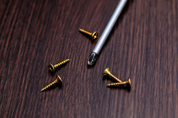 Screws and screwdrivers on a wood board. We collect furniture.