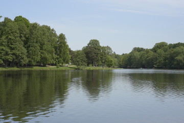 view of nature, water, trees against the horizon