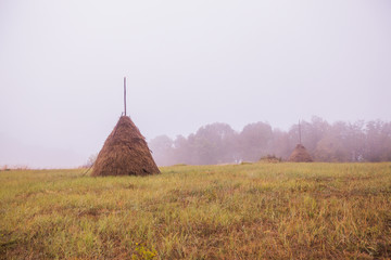 rural landscape on a misty autumn day