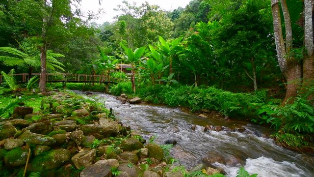 4K video of water flowing at Teentok royal project development center, Thailand.