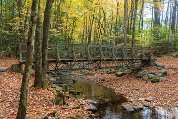 A wooden bridge over a small stream in the middle of a forest