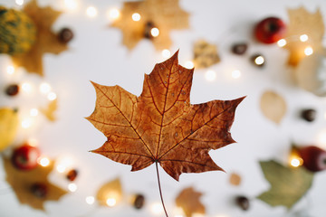 Autumn, fall texture. halloween, thanksgiving day background