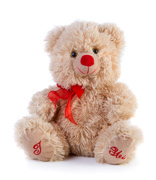 Toy Teddy bear