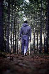 Fototapeta premium Man walking in forest