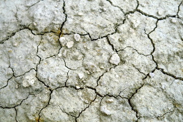 Terre séchée craquelée blanche et grise.