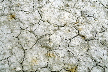 Terre sèche craquelée.