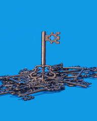 The one key which is selected out of the pile of skeleton keys .