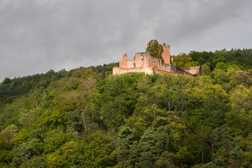 Fototapeta na wymiar Burg Ruine Landeck im Pfälzer Wald