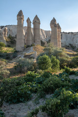 Hoodoos at Göreme at Open air UNESCO world heritage site Museum in Cappadocia, Turkey