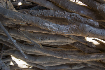Arranged wood sticks. Fuel for heating. Background with wood branches, wood stick fence