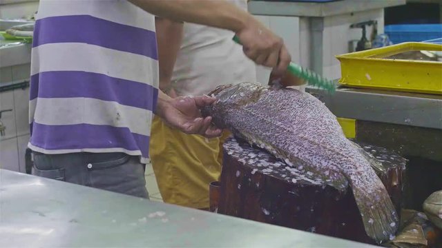A Man With Excitement Cleaning Fish With A Large Brush - Hand Held 
