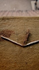 A photo of a tiny wood