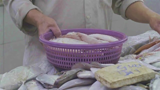 Fish Traders Are Arranging Fish - Hand Held 
