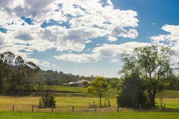 Obraz premium landscape with trees and clouds