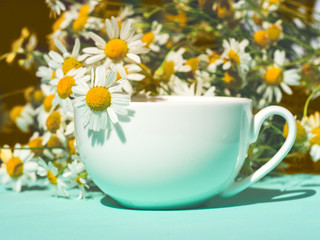 Obraz na płótnie Canvas Herbal tea with fresh chamomile flowers