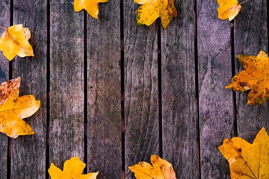 Autumn Leaves over wooden background