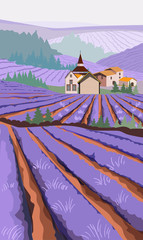 Lavender field with meadow fields and village houses