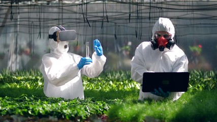 Botanists use VR glasses while working with plants. - Powered by Adobe