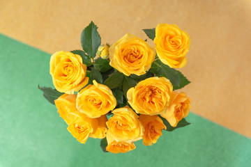 Bouquet of yellow roses is on a green yellow background. Flowers are horizontal close-up