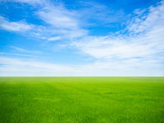 Foto auf Acrylglas Leere grüne Wiese mit blauem Himmel und weißen Wolken in der Garten- und Landschaftsfotografie für Design-Display-Produkthintergrundkonzept. © jaojormami