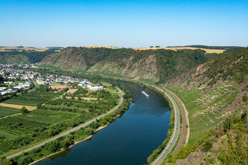 Fototapeta na wymiar Top view on Mosel river valley and green terraced vineyards, Germany, production of quality white and red wine, riesling