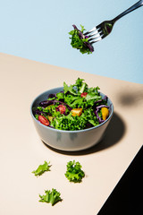 Healthy green salad with tomato, lettuce, cabbage. Modern minimal style, healthy lifestyle concept.