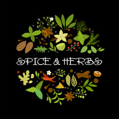 Spice shop, herbs and spices collection for your design