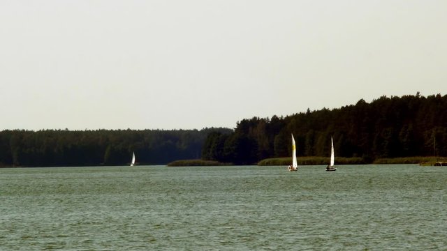 Yachts sailing in Wdzydze Lake in Kaszubski park krajobrazowy in Pomeranian Voivodeship