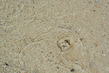 Fototapeta na wymiar Sandy beach and sea is the background and texture.