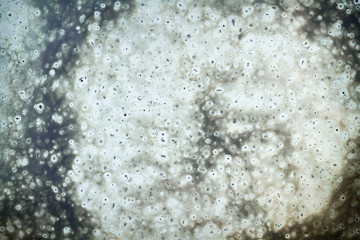 Abstract background in neutral tones of grunge dirty texture. 