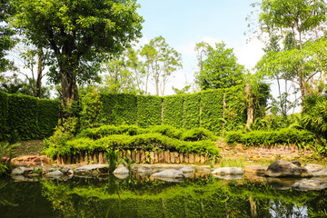 Fototapeta na wymiar Green park with beautiful tree and rock in pond