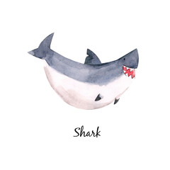 Cute watercolor baby shark illustration for children print