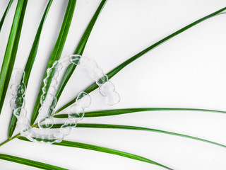orthodontic clear aligner to straighten teeth with green leaves. Environment friendly teeth...