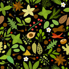 Herbs and spices background, seamless pattern for your design