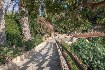 A nice trip to Cypress