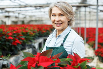 Joyful female florist with poinsettia