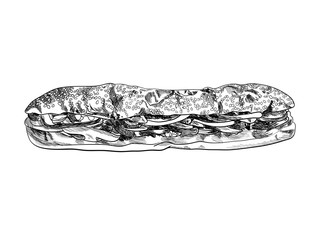 Vector Hand Drawn Big Sandwich, Sesame Seed Bun, Fast Food Illustration Isolated on White Background.