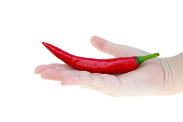 Close up red hot chili spur pepper on lady hand