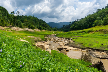Fototapeta na wymiar ์Nature river stream in the valley 