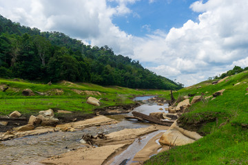 Fototapeta na wymiar ์Nature river stream in the valley 