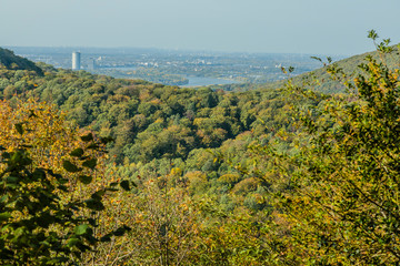 Der Herbst im Siebengebirge 