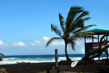 Black Sand Beach and Lifeguard Shack